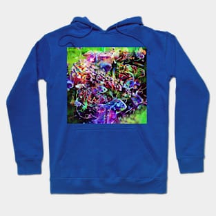 MARDI GRAS FISHING PARTEE Hoodie